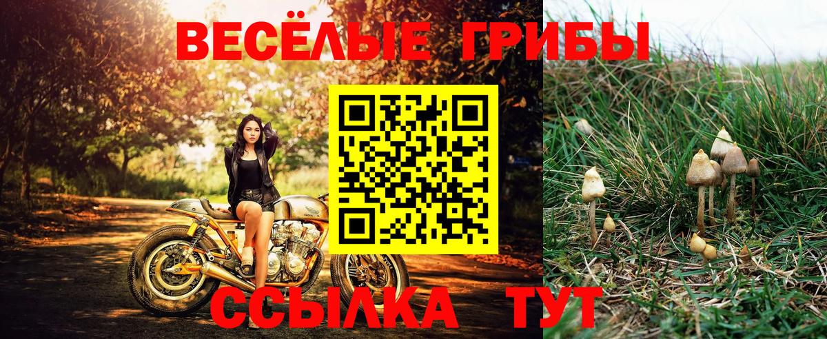 Галлюциногенные грибы ЛСД Клин